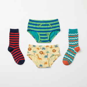 Boys Underwear & Socks